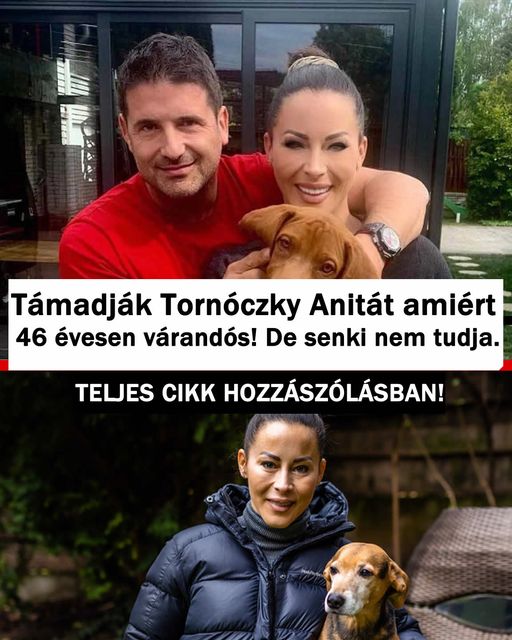 tornoczki7868556464 n