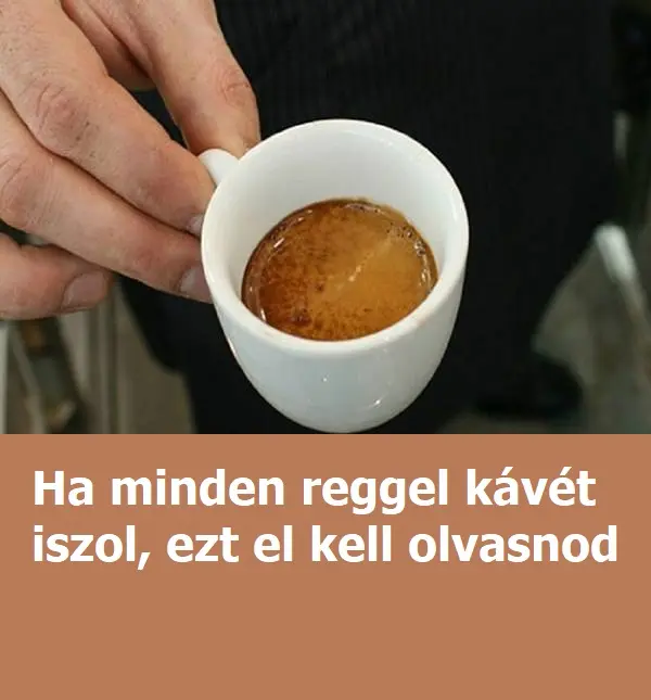 kaveivas49e