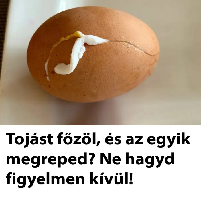 tojastfozol2 n