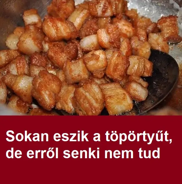 toportyu 600x381