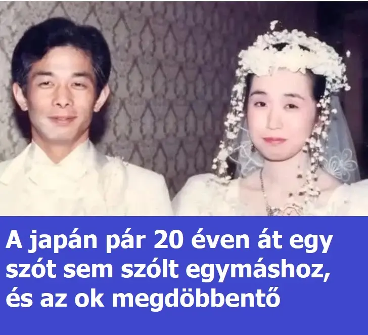 20evhallgatas6e35b0