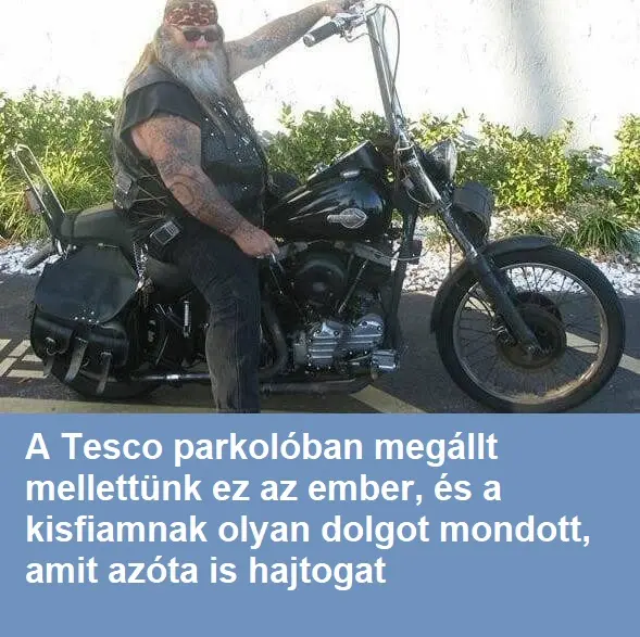 motorosx381