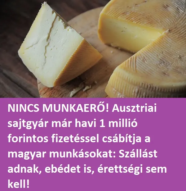sajtgyarmunka12jpg