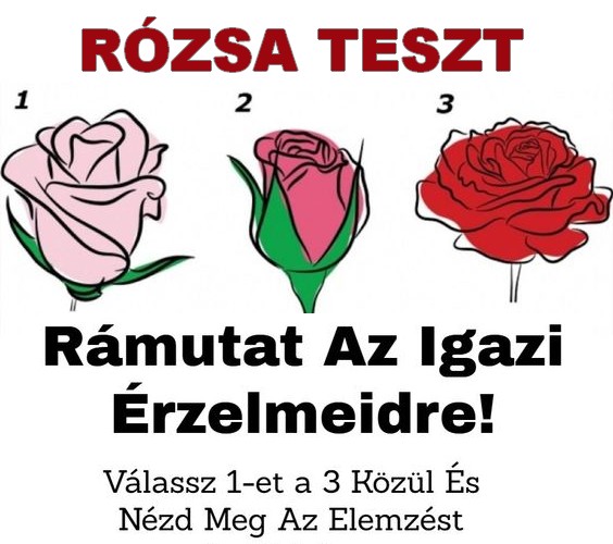 rozsateszt2c