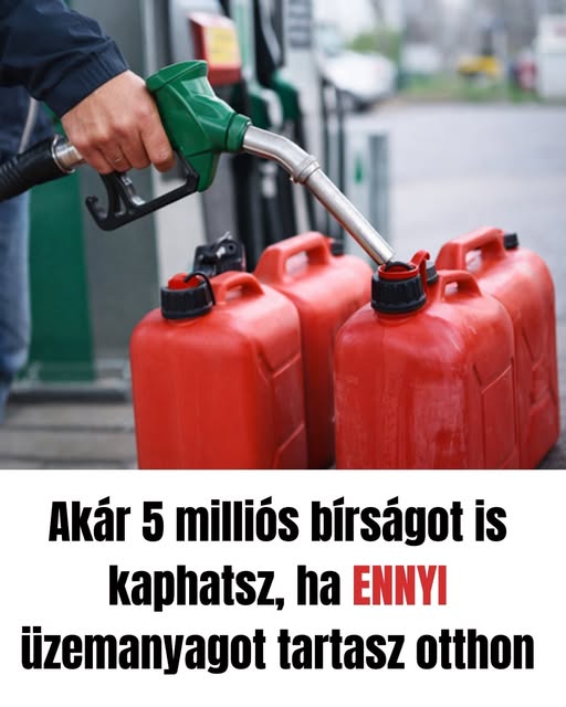 5milasbirsag410 n