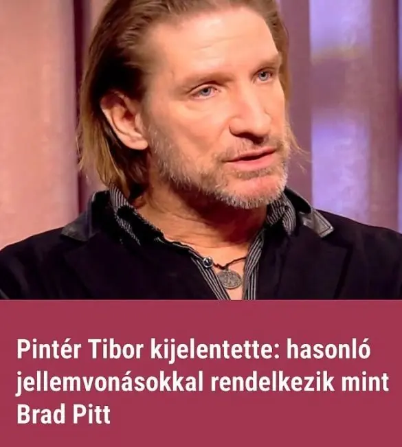 pintertiborbratpitt56112 n