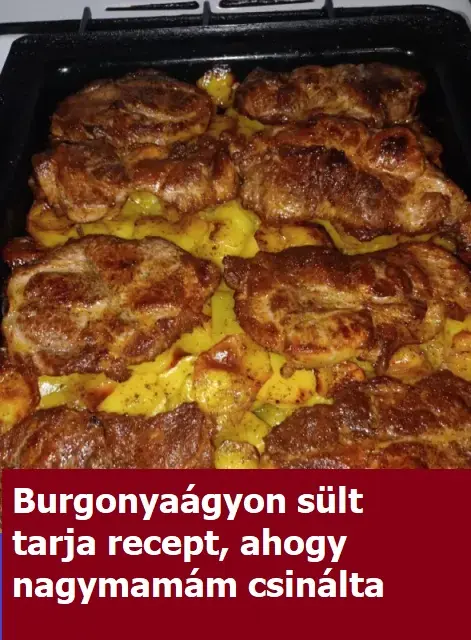 burgonyagyaonsulttarja77242 n