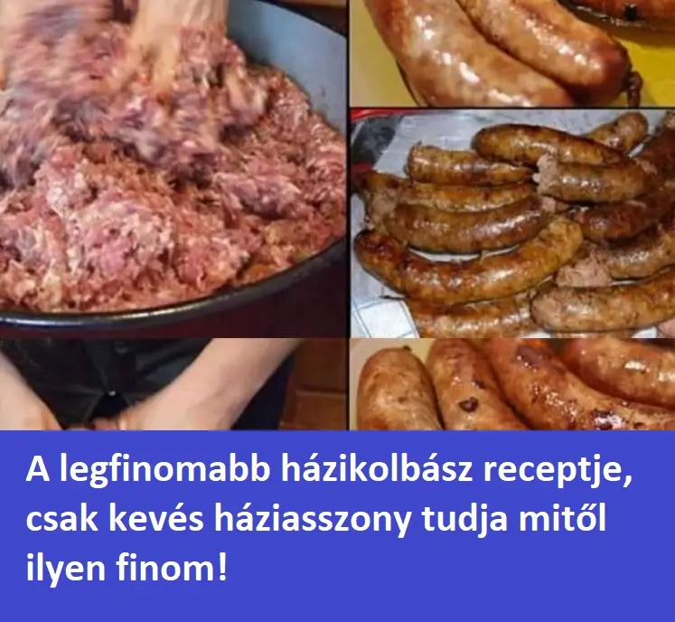 kolbasz08594250 885185838618980454 n