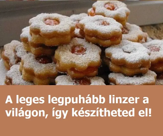 linzerfoto 2024 11 23 19.03.58 1