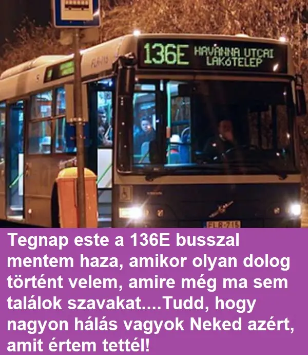 1356busz23 172701