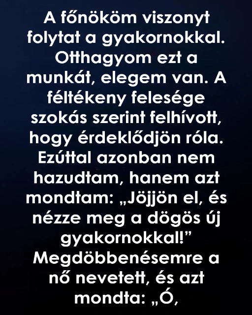 Egy telefonhivas tobbet tanitott az emberekrol mint evek a munka vilagaban