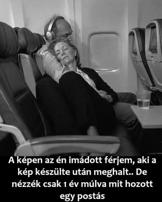 ferjemmeghalt2741599360499718529 n 526x381