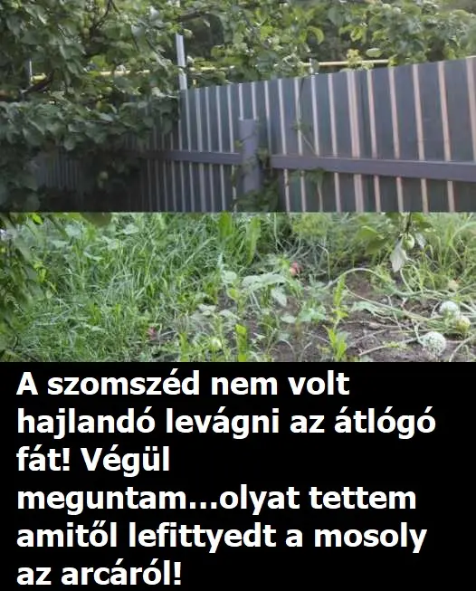 almadfad 2024 09 17T231124.745