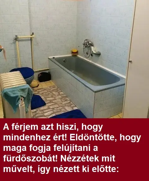 felujitas1 1456361218618171029 n 480x381