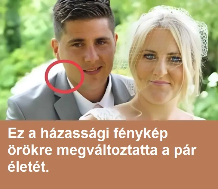 hazaspar 48f4 86f0 66d31f7302ac