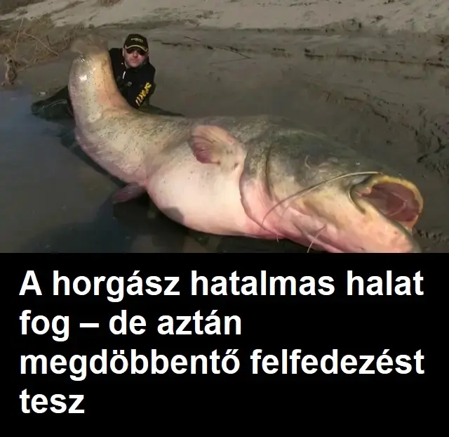 horgasz halat fog2320