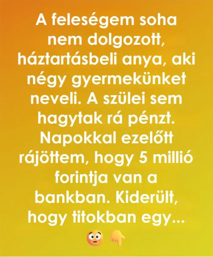 mindentudokfelesegem36