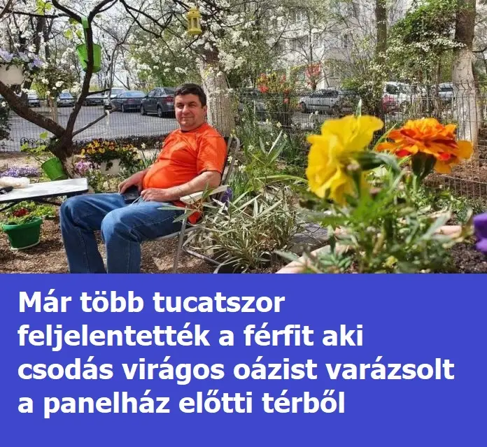 viragoazis53535454f1