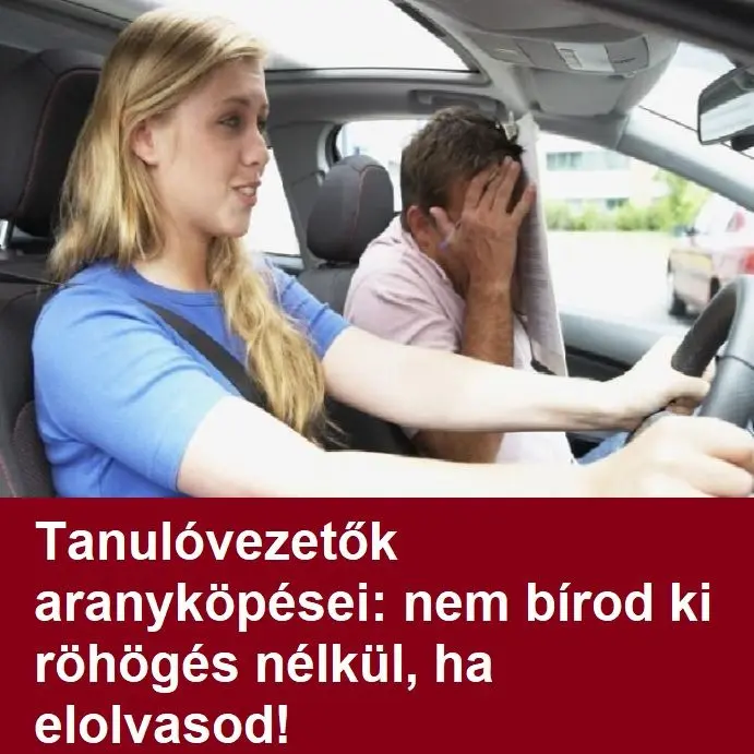Tanulóvezetők aranyköpései: nem bírod ki röhögés nélkül, ha elolvasod!